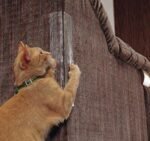 Cat Claw Protector Sofa Protect Pads - Image 2