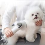 ⁦مجفف شعر ذكي للحيوانات الأليفة، مناسب للكلاب والقطط من فصيلة جولدن ريتريفر، لتصفيف الشعر وتمشيطه، هادئ وآمن، مستلزمات تنظيف الحيوانات الأليفة، منتجات الحيوانات الأليفة⁩ - الصورة ⁦2⁩